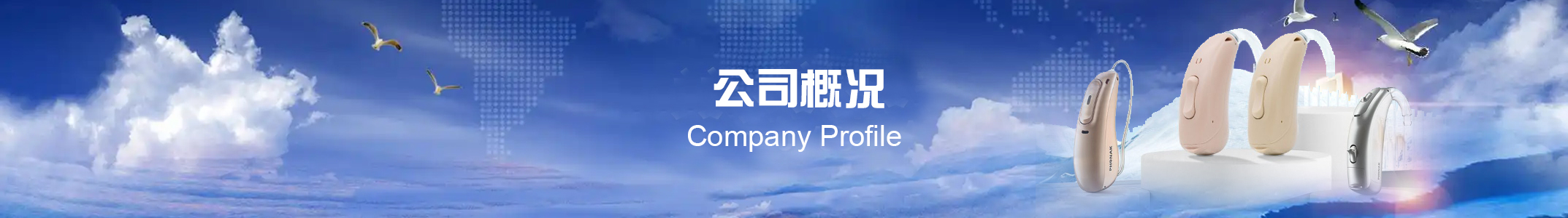 公司概况